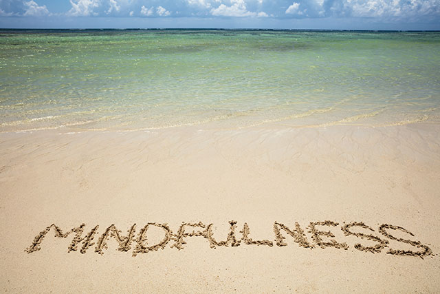 Figura 1.2 Mindfulness.